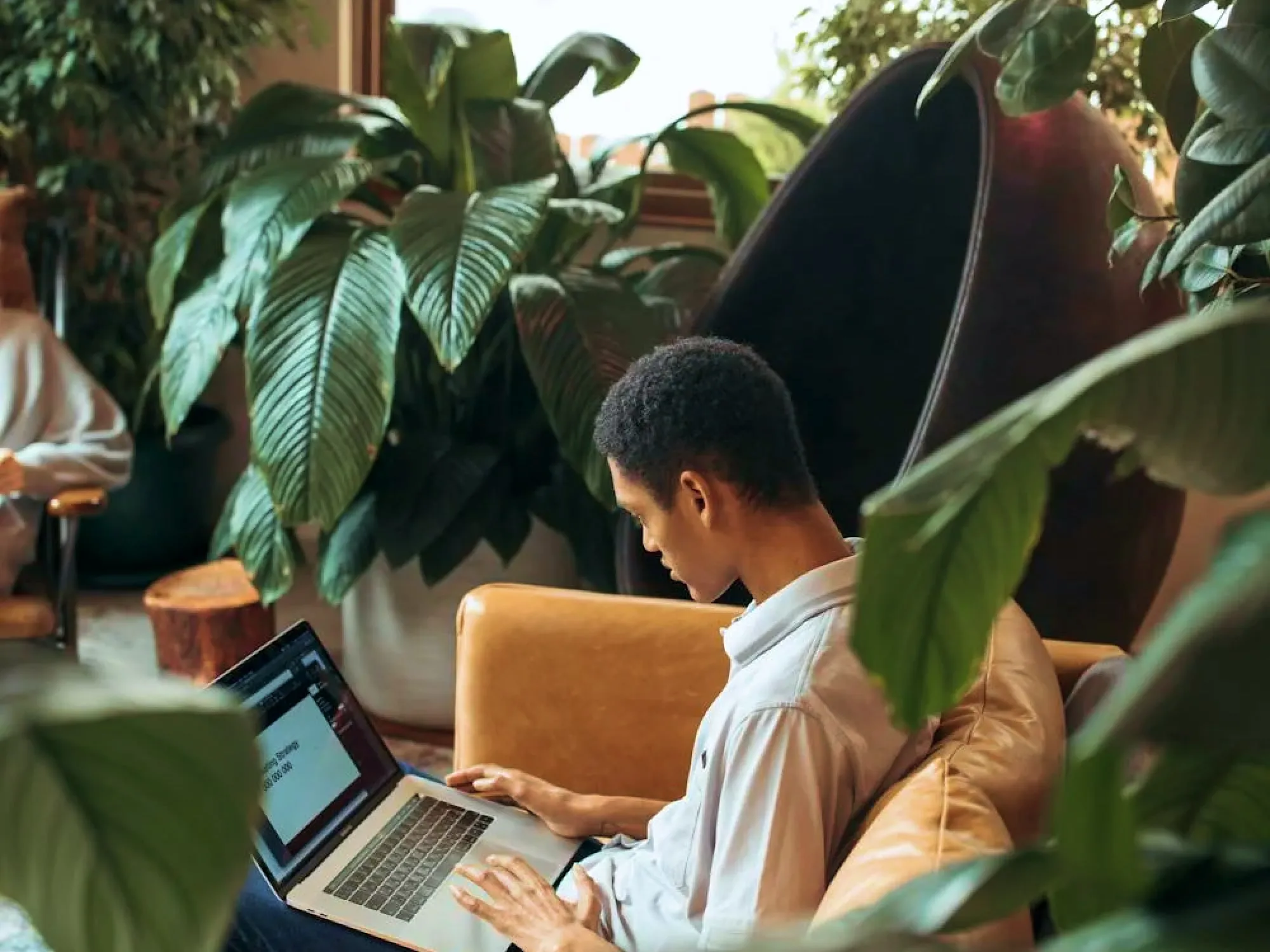 Young man working on a laptop while sitting in an armchair surrounded by large plants.